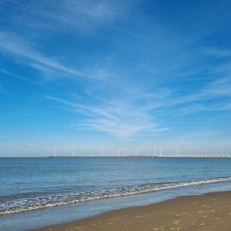 Ruime Vrijstaande Vakantiewoning Aan Veerse Meer, 6 Persoons Wolphaartsdijk Eksteriør billede