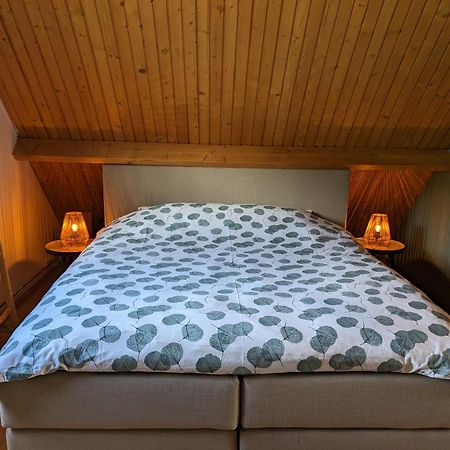 Ruime Vrijstaande Vakantiewoning Aan Veerse Meer, 6 Persoons Wolphaartsdijk Eksteriør billede