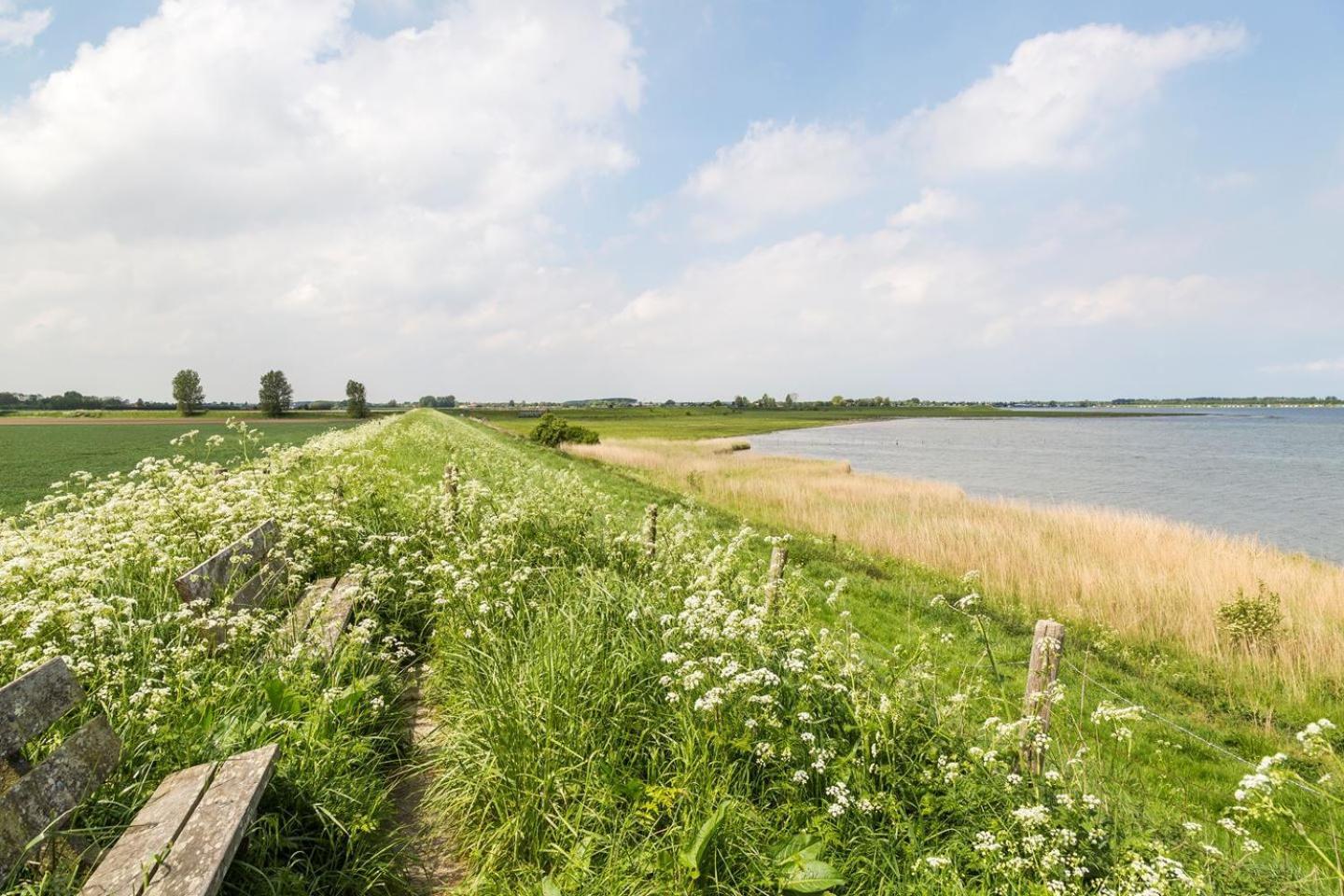 Ruime Vrijstaande Vakantiewoning Aan Veerse Meer, 6 Persoons Wolphaartsdijk Eksteriør billede